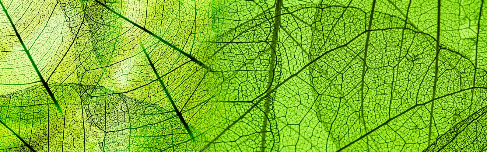 Natura al lavoro: una rassegna